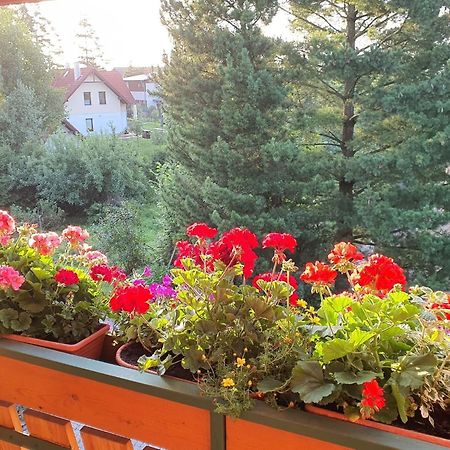 Chalet Chata Tereza By Interhome Стара Лесна Екстер'єр фото
