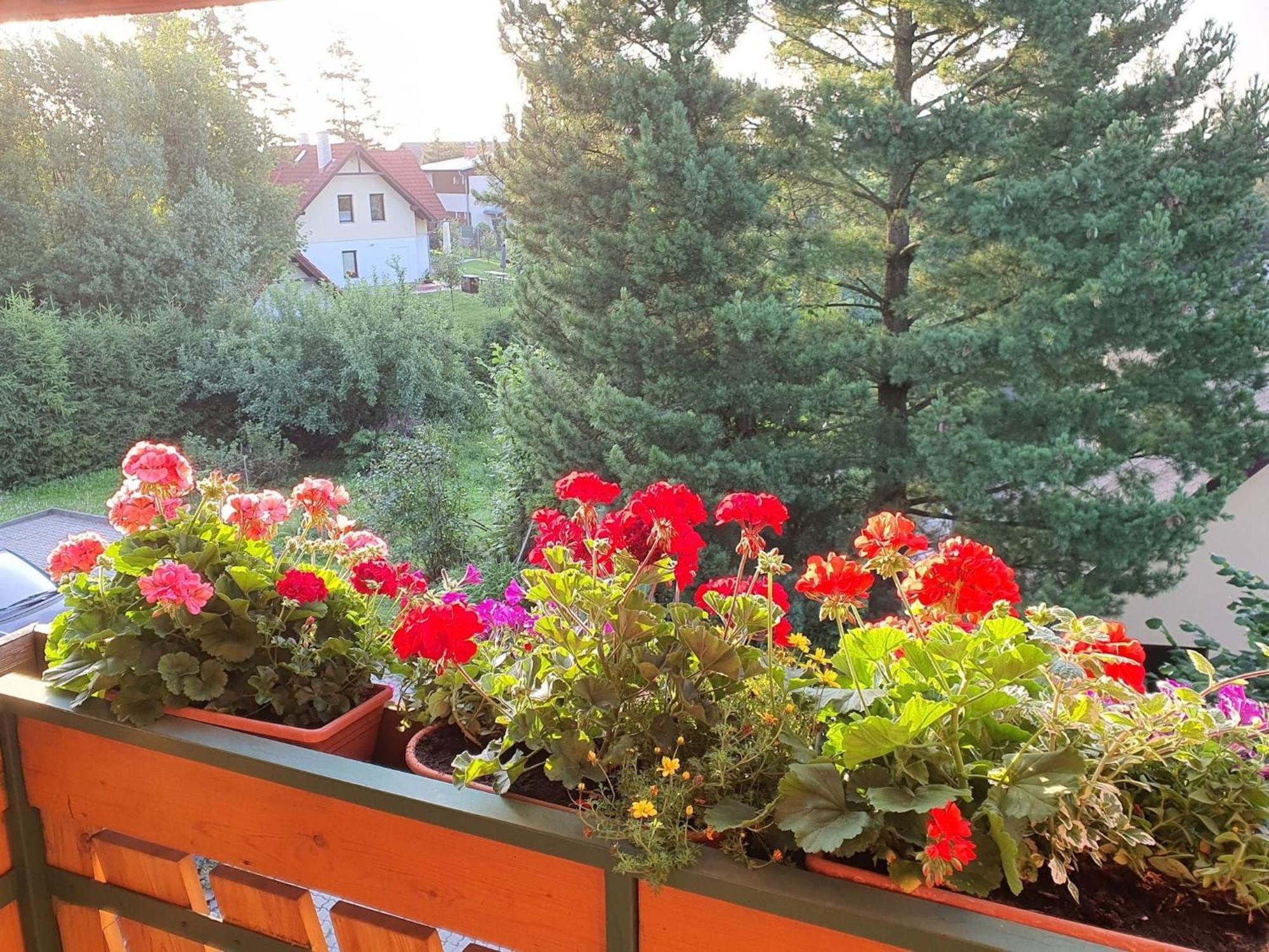Chalet Chata Tereza By Interhome Стара Лесна Екстер'єр фото